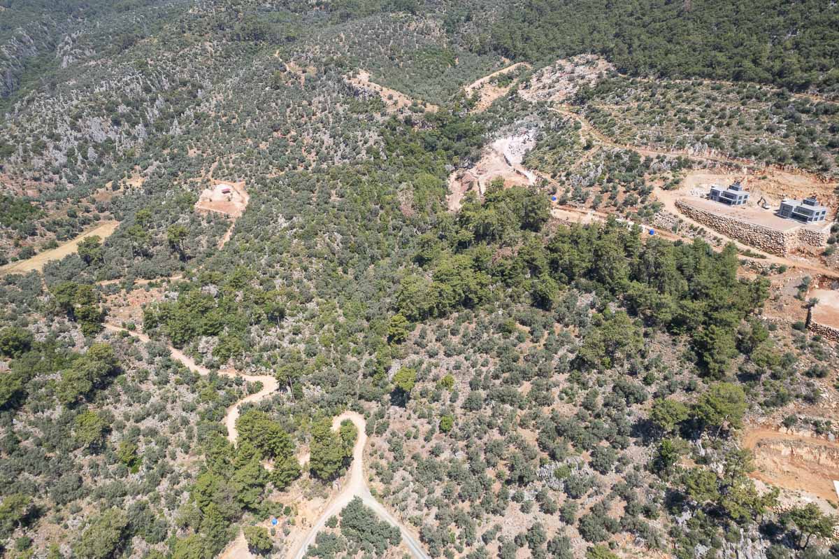 40,000 m2 Olive Grove for Sale in Inlice