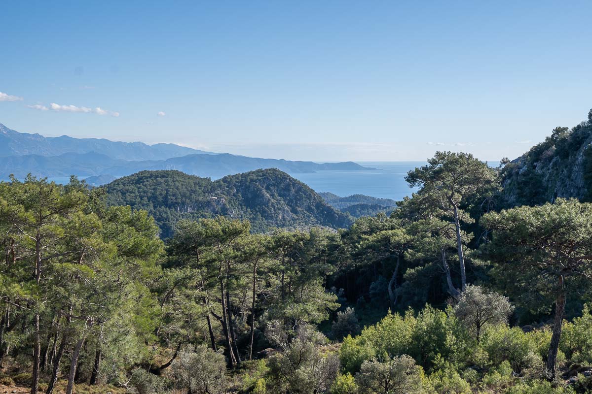 Forest Land with Sea View for Sale in Gocek