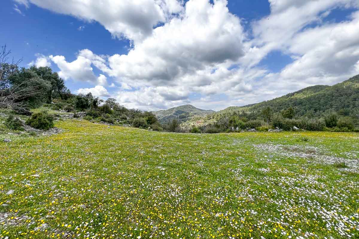 Nature Investment Land Near Göcek