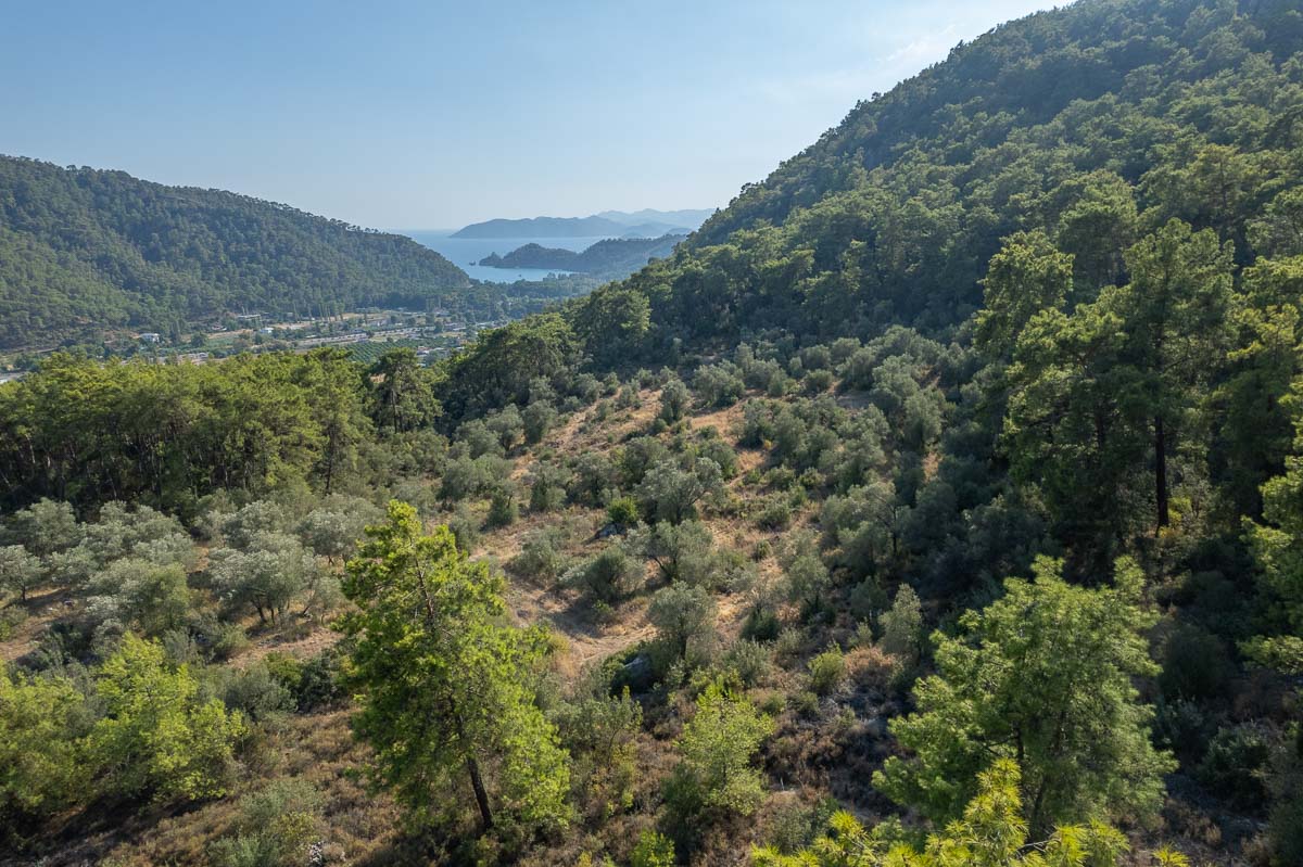 20,000 m² Land for Sale in İnlice