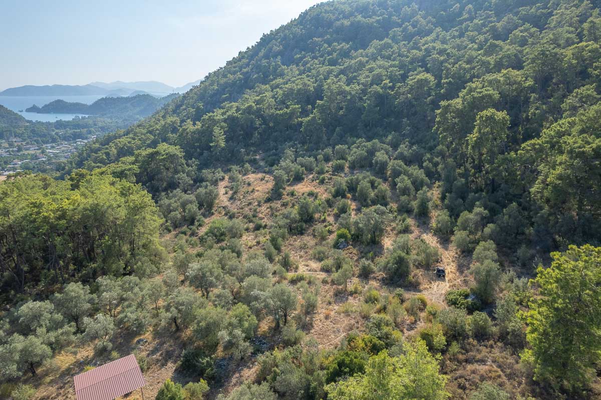 20,000 m² Land for Sale in İnlice