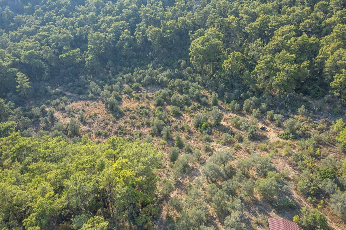 20,000 m² Land for Sale in İnlice